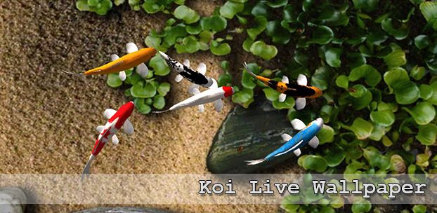 Koi Live Wallpaper – потрясающие живые обои для вашего смартфона