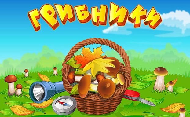 «Грибники» — незабываемое приключение в лесу