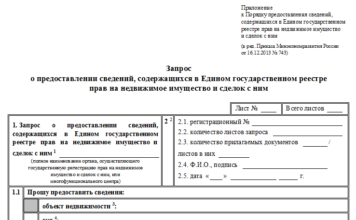 Выписка из ЕГРП: как заказать, получить, стоимость