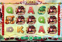 Обзор онлайн слота Koi Princess казино Вулкан