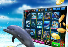 Как выиграть реальные деньги в автомат Dolphins Pearl на сайте my-azart.com
