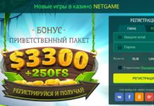 НетГейм — все начинается с простых ставок