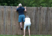 Как познакомиться с соседями?