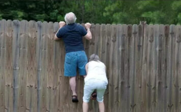 Как познакомиться с соседями?