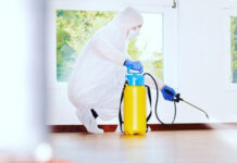 Дезинсекция: методы и средства борьбы с насекомыми