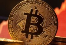 Биткоин: почему данная криптовалюта так популярна?