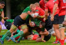 Лучшие стратегии ставок на регби