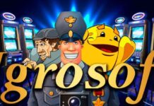 Особенности игровых автоматов Igrosoft