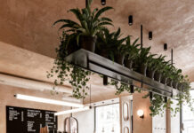 Стоит ли открывать свою кофейню?