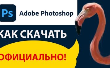 Как скачать Adobe Photoshop с официального сайта?