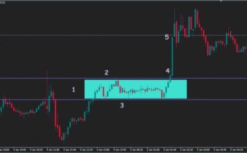 Сигналы форекс: узнай куда пойдёт рынок
