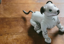 Аренда робота-собаки в Москве: новая эпоха питомцев без забот