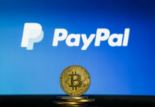 Все о сервисе обмена криптовалюты PayByPal: Как не потеряться в мире цифровых активов