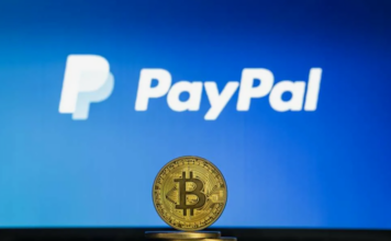 Все о сервисе обмена криптовалюты PayByPal: Как не потеряться в мире цифровых активов