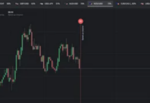 Binaruim: погружаемся в мир бинарных опционов