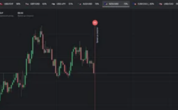 Binaruim: погружаемся в мир бинарных опционов