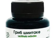 Шиитаке цена за 1 кг: покупка грибов для укрепления здоровья выгодно