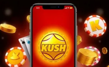 Как зарегистрироваться в «Куш Казино» — просто, быстро и без лишних вопросов