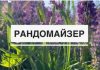 Генератор случайностей: как работает рандомайзер