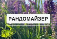 Генератор случайностей: как работает рандомайзер